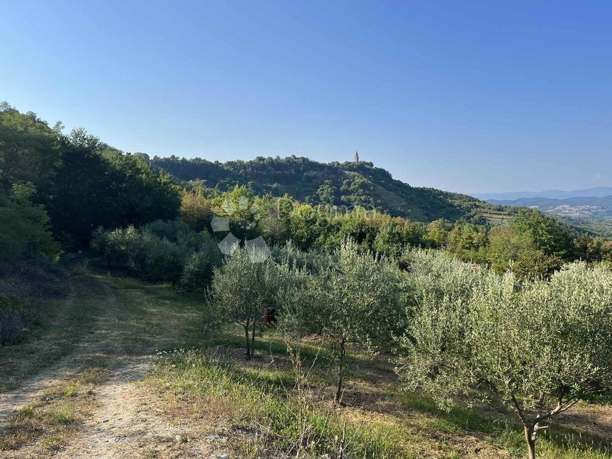 Zemljišče Gračišće, 4.067m2