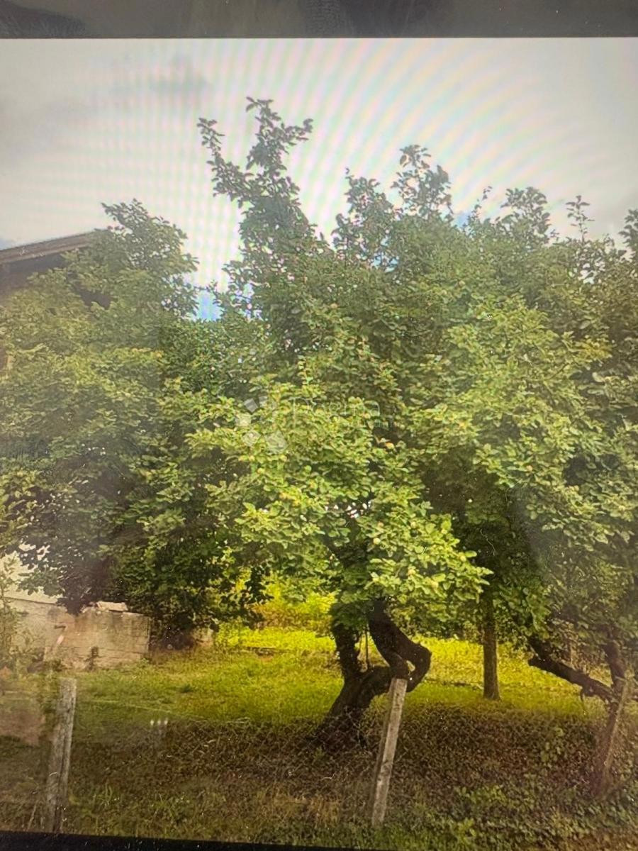 Hiša Ozdakovci, Velika, 170m2