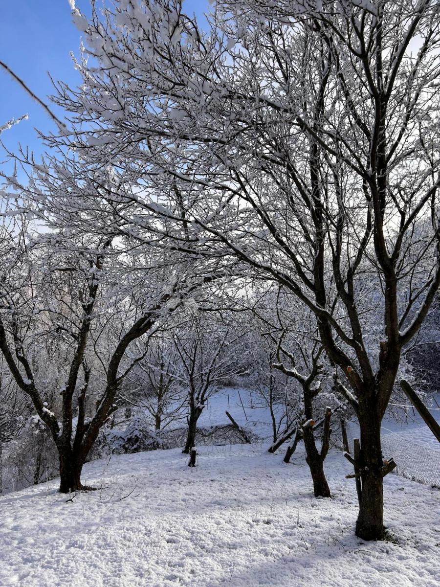 Hiša Vlaškovec, Jastrebarsko - Okolica, 70m2