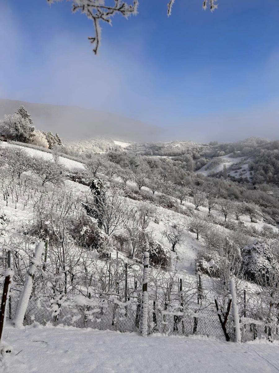 Hiša Vlaškovec, Jastrebarsko - Okolica, 70m2