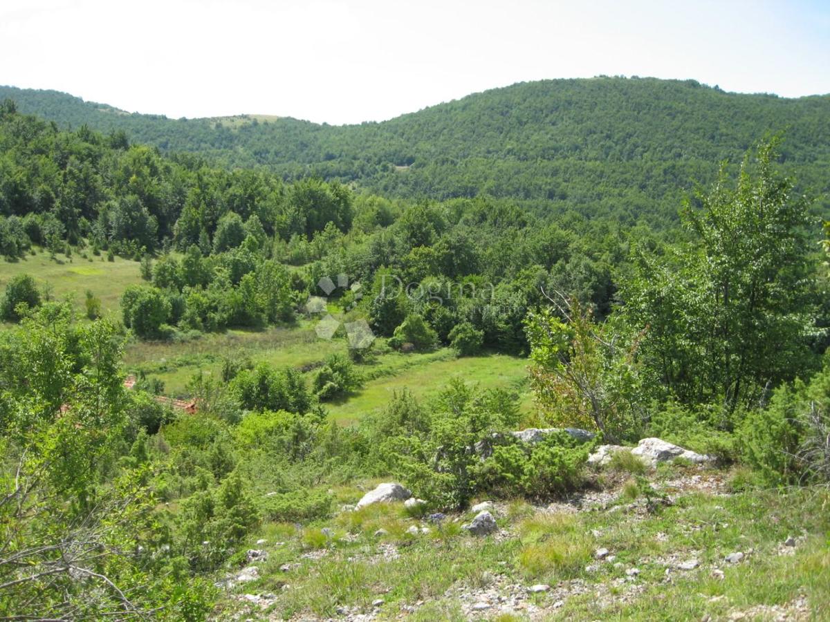 Hiša Grab, Gračac, 324m2