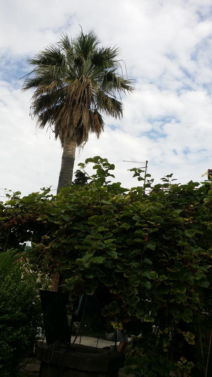 Hiša Kaštel Štafilić, Kaštela, 210m2