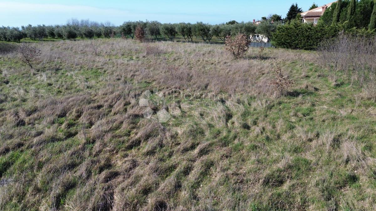 Zazidljivo zemljišče Kaštelir, Kaštelir-Labinci, 1.200m2