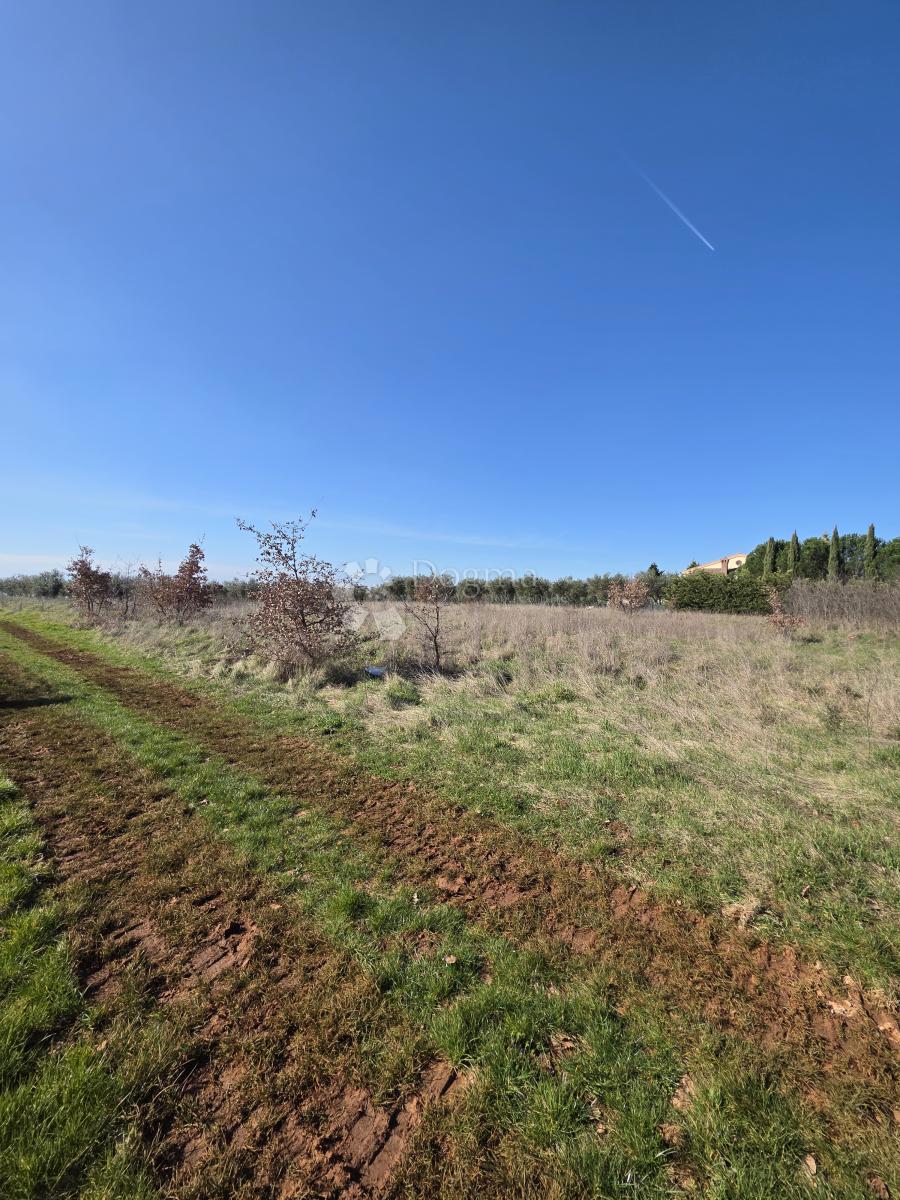 Zazidljivo zemljišče Kaštelir, Kaštelir-Labinci, 1.200m2