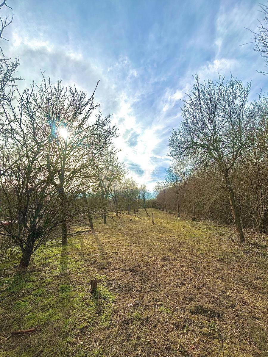 Hiša Poganovci, Podgorač, 76,50m2