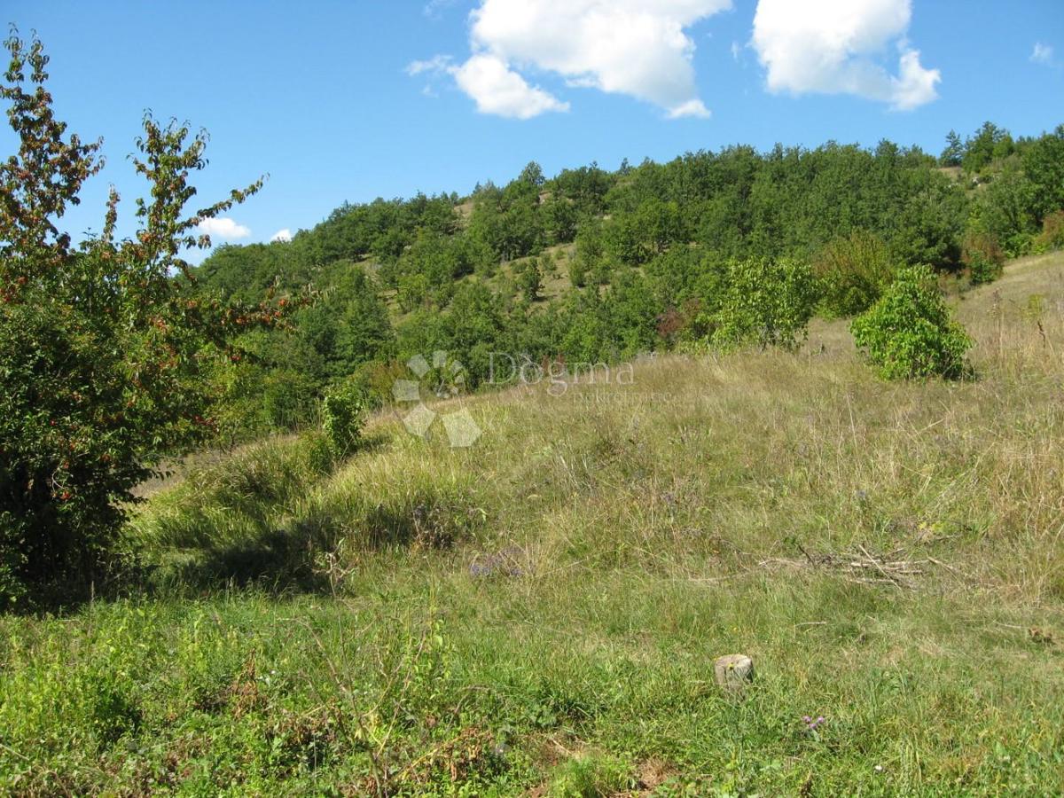 Kmetijsko zemljišče Grab, Gračac, 36.000m2