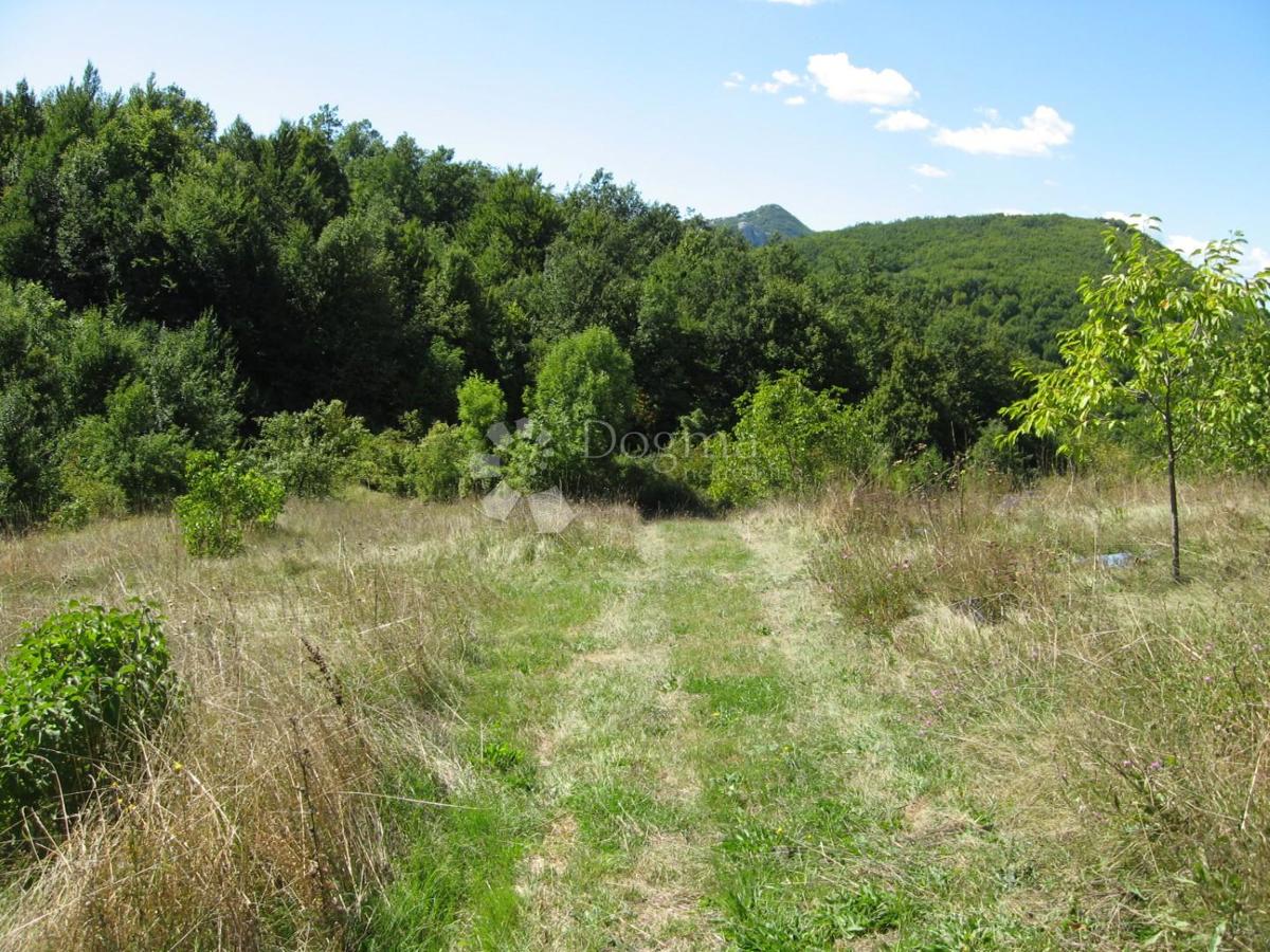 Kmetijsko zemljišče Grab, Gračac, 36.000m2