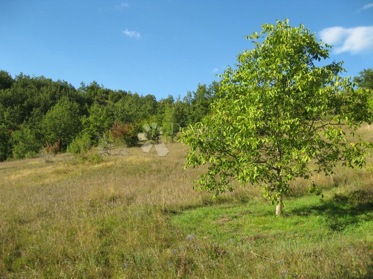 Kmetijsko zemljišče Grab, Gračac, 36.000m2