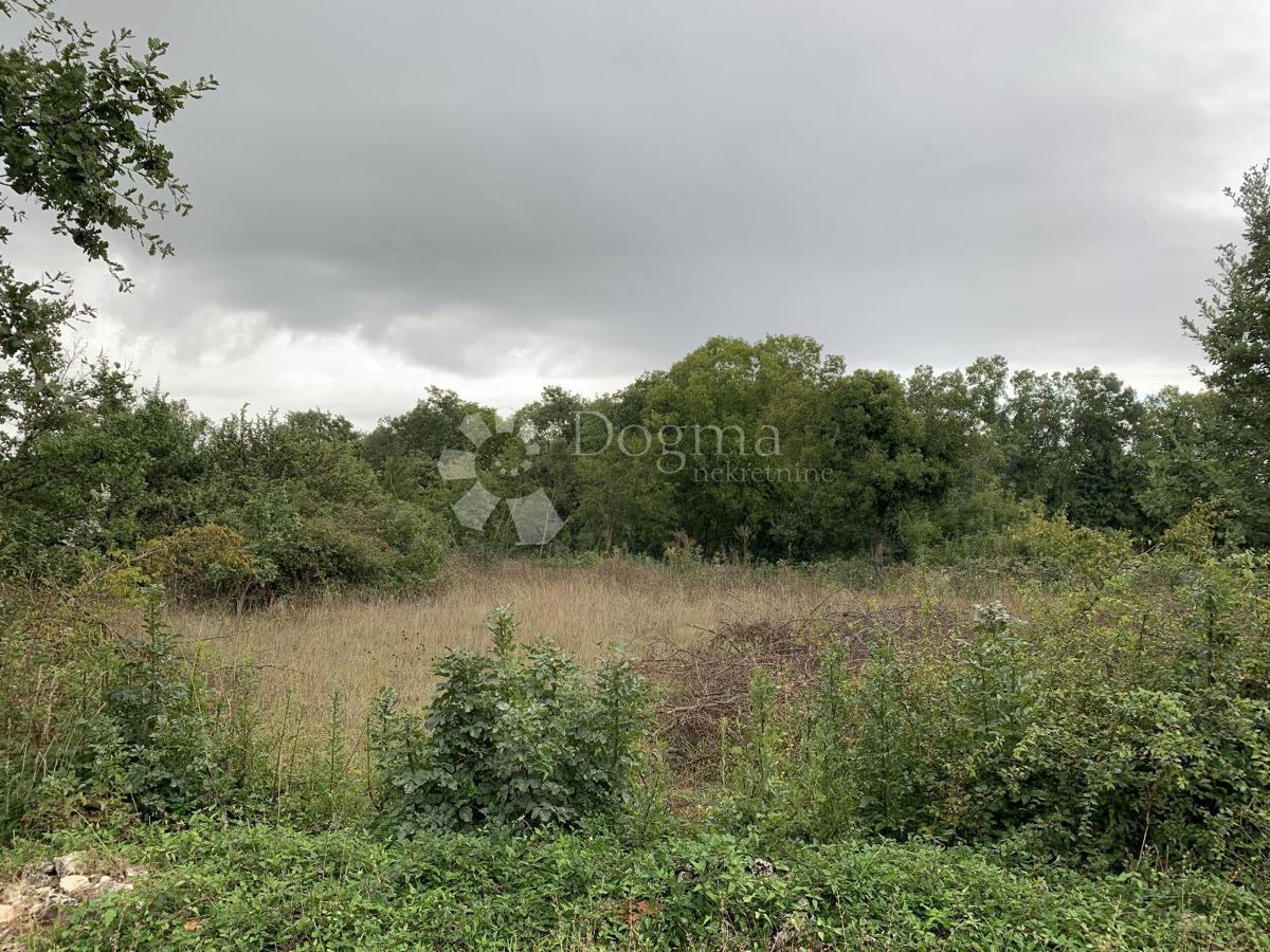 Zemljišče Filipana, Marčana, 1.427m2