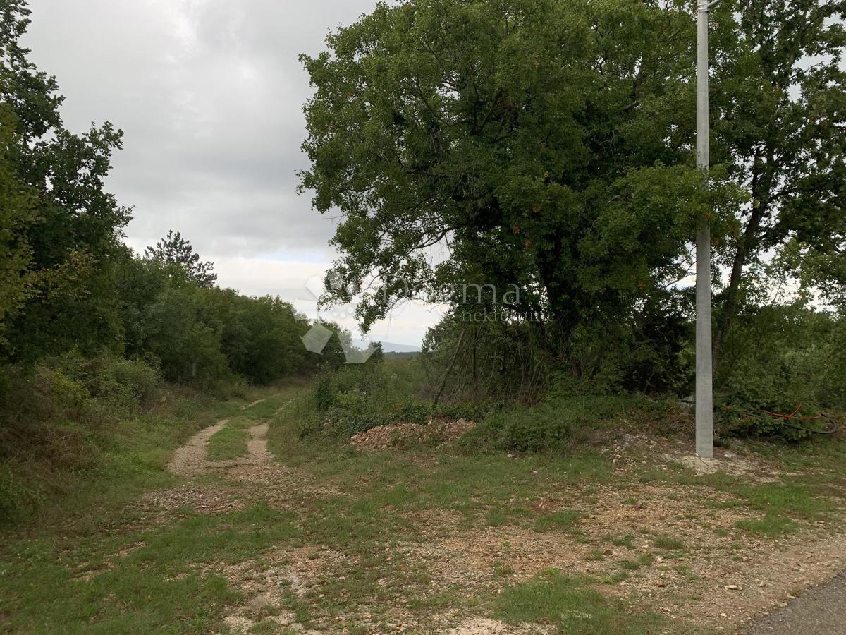 Zemljišče Filipana, Marčana, 1.427m2