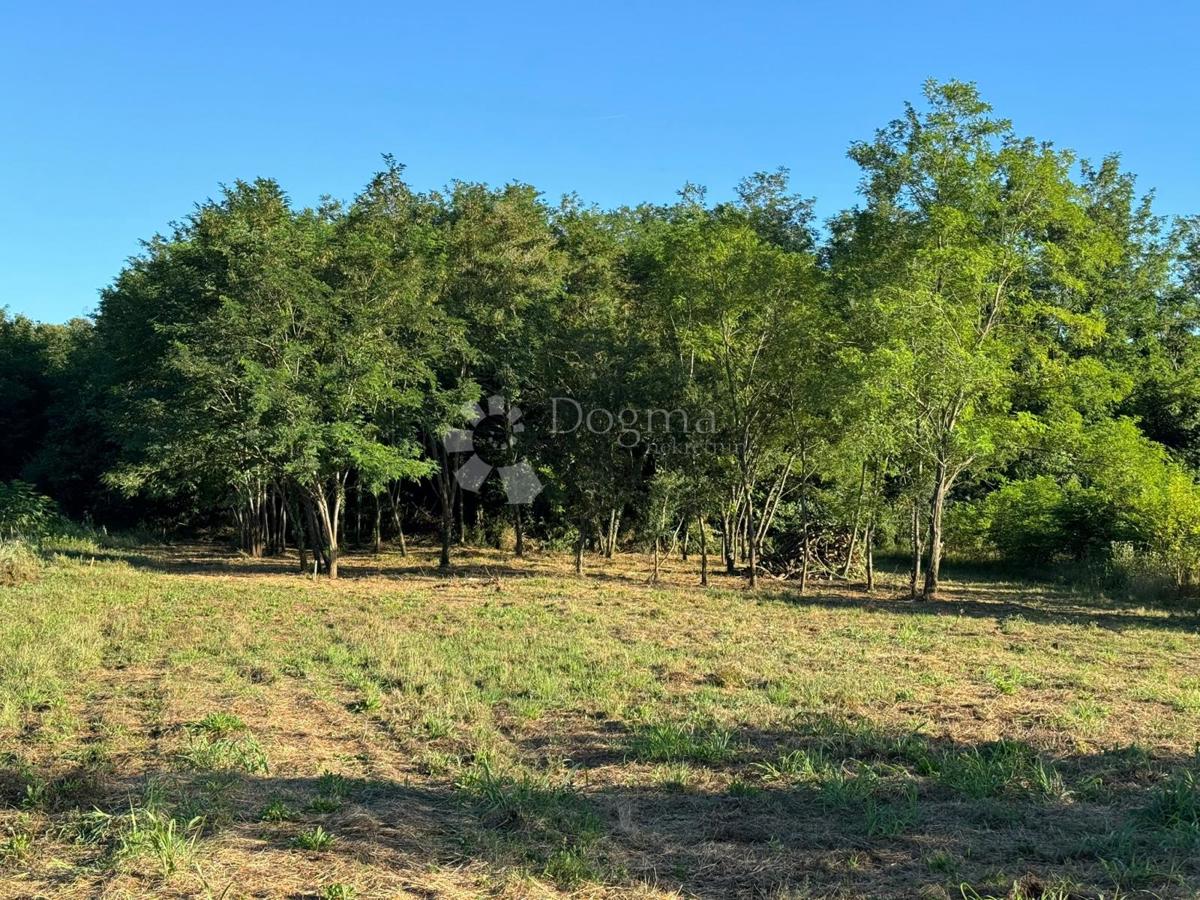Kmetijsko zemljišče Umag, 570m2