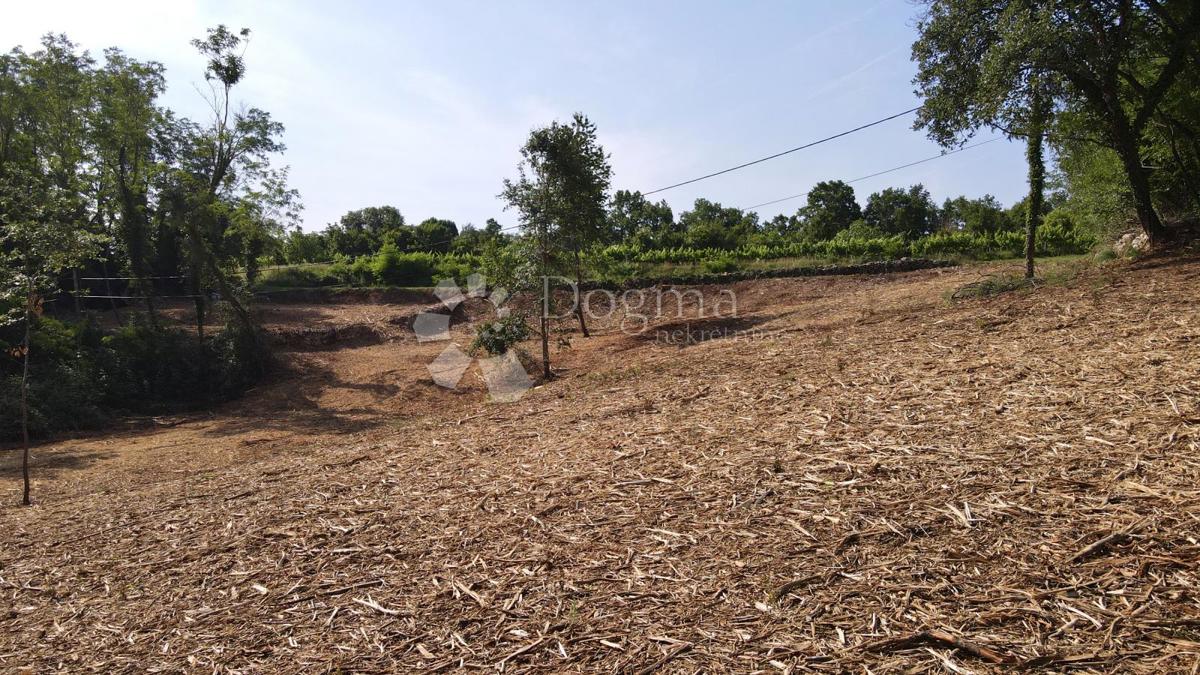 Zemljišče Šumber, Sveta Nedelja, 4.153m2