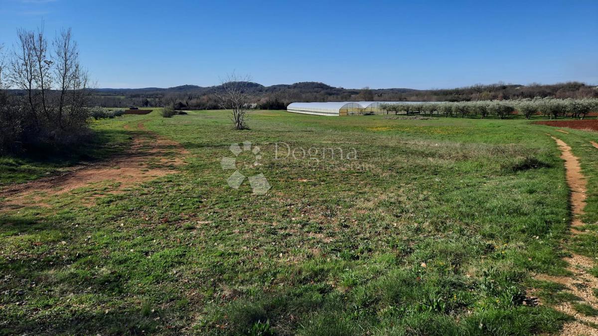 Kmetijsko zemljišče Kadumi, Poreč, 7.670m2