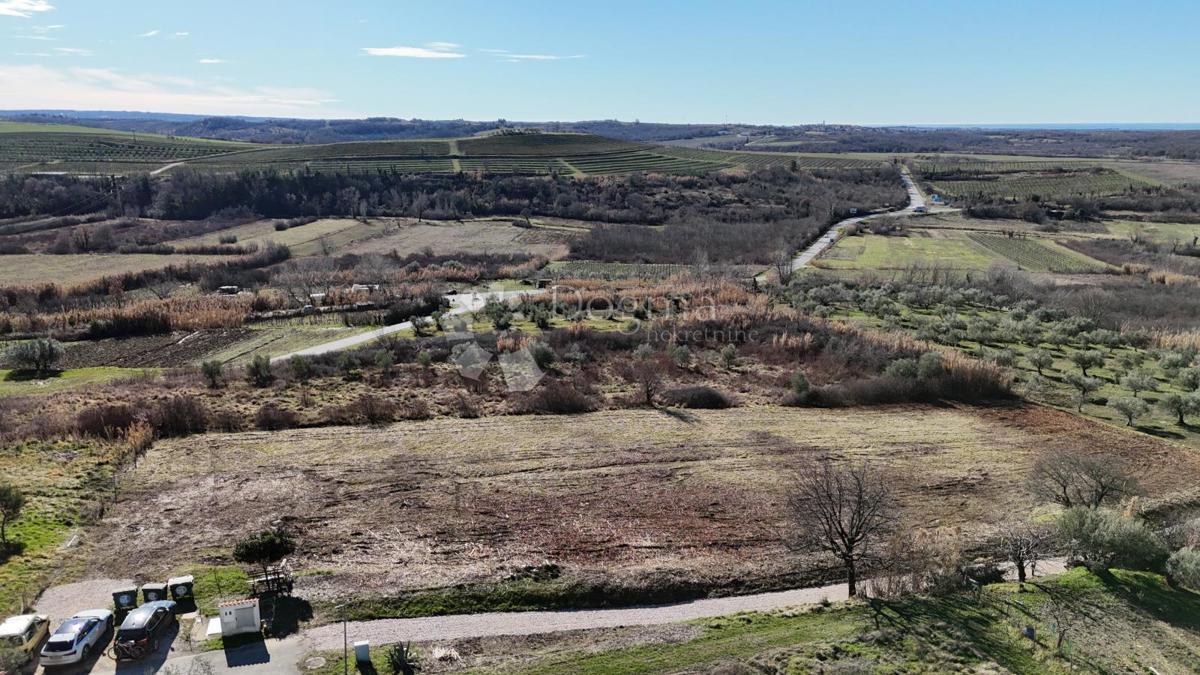 Zazidljivo zemljišče Buje, 1,03m2