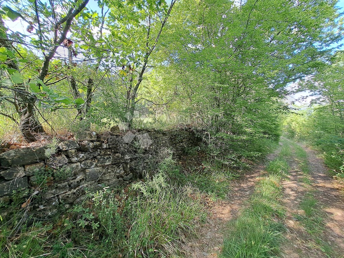 Zemljišče Sovinjska Brda, Buzet, 557m2