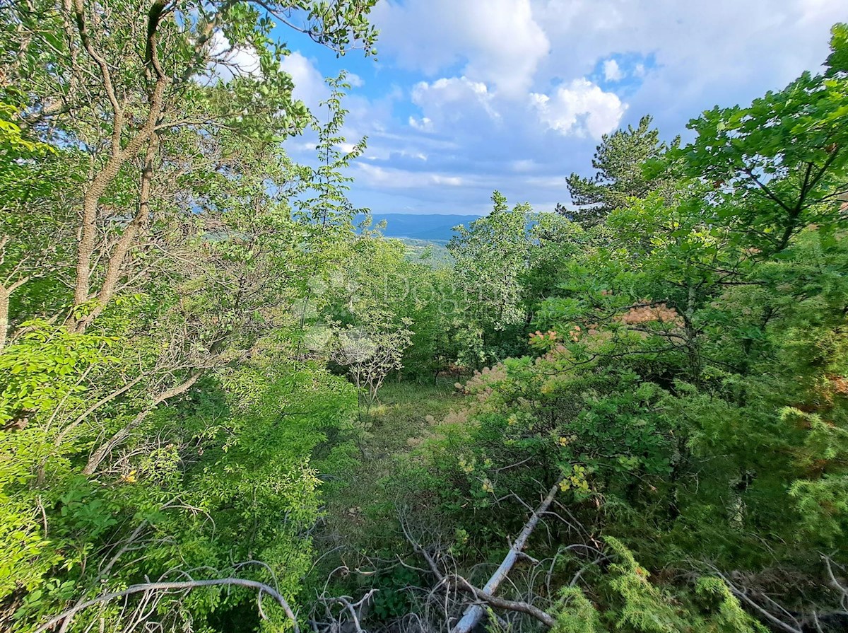 Zemljišče Sovinjska Brda, Buzet, 557m2