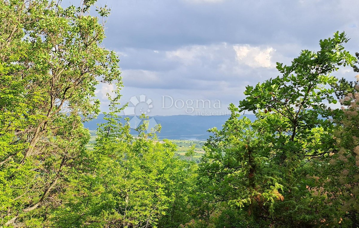 Zemljišče Sovinjska Brda, Buzet, 557m2