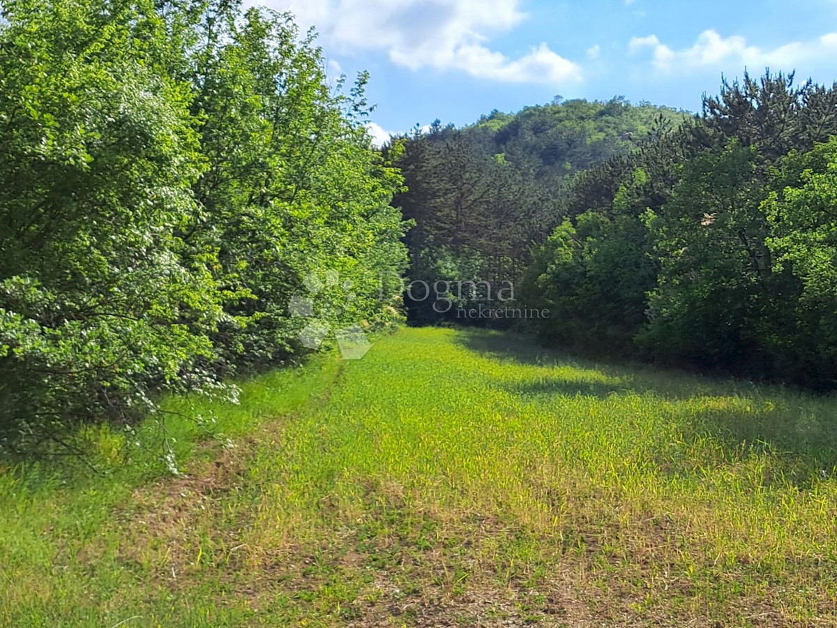 Zemljišče Sovinjska Brda, Buzet, 557m2