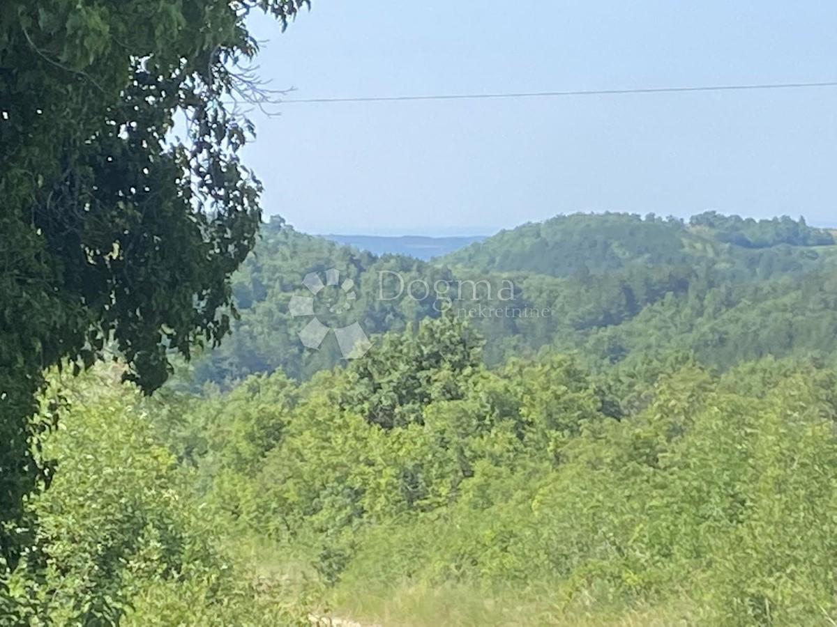 Hiša Krasica, Buje, 90m2