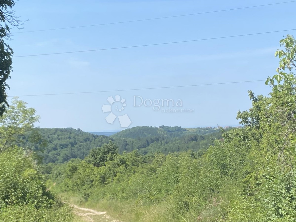 Hiša Krasica, Buje, 90m2