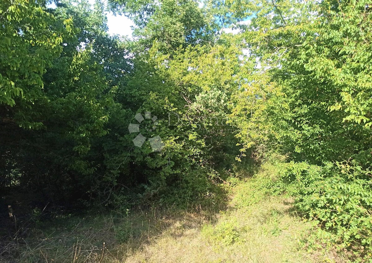 Zemljišče Orbanići, Marčana, 8.547m2