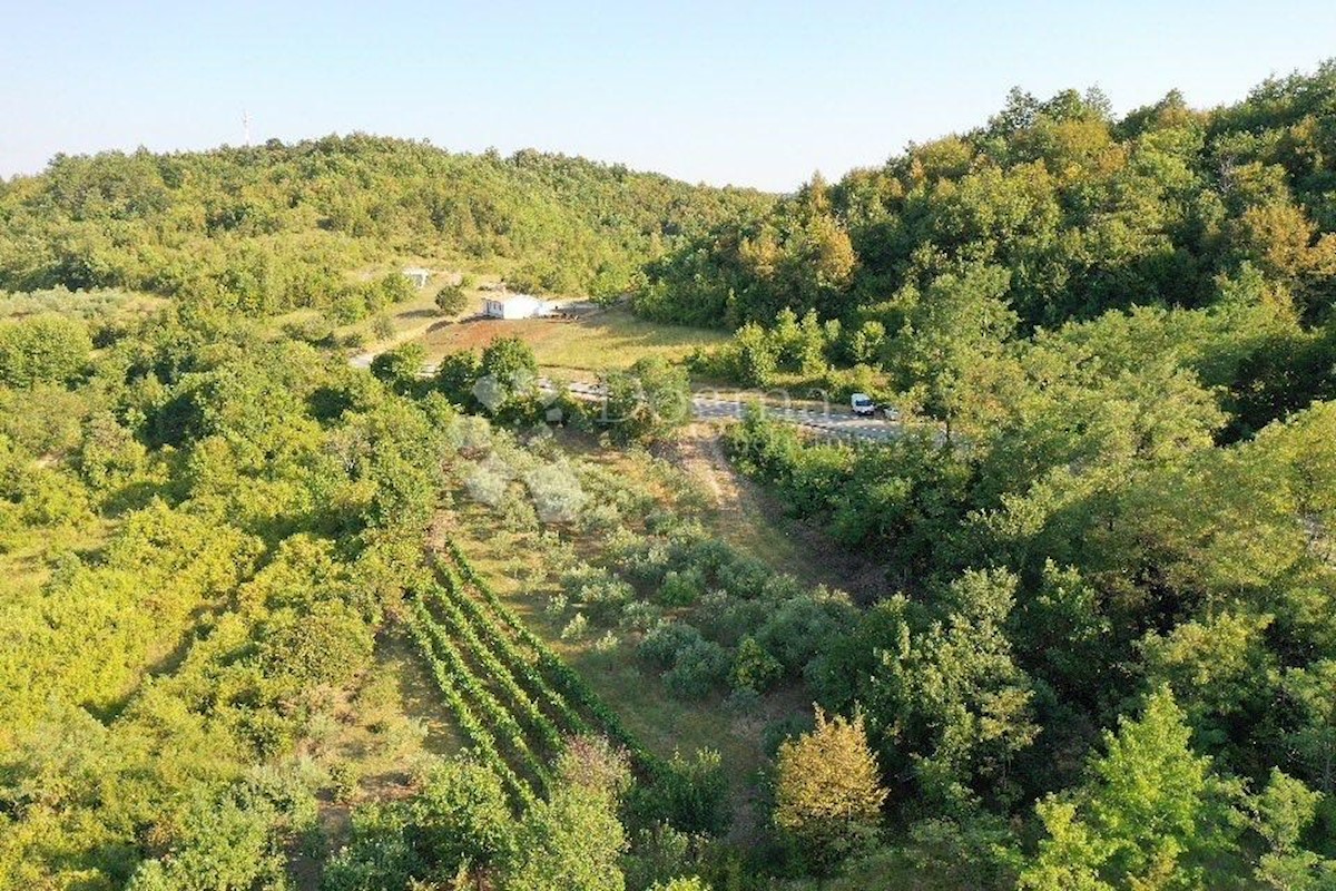Zemljišče Gračišće, 4.067m2