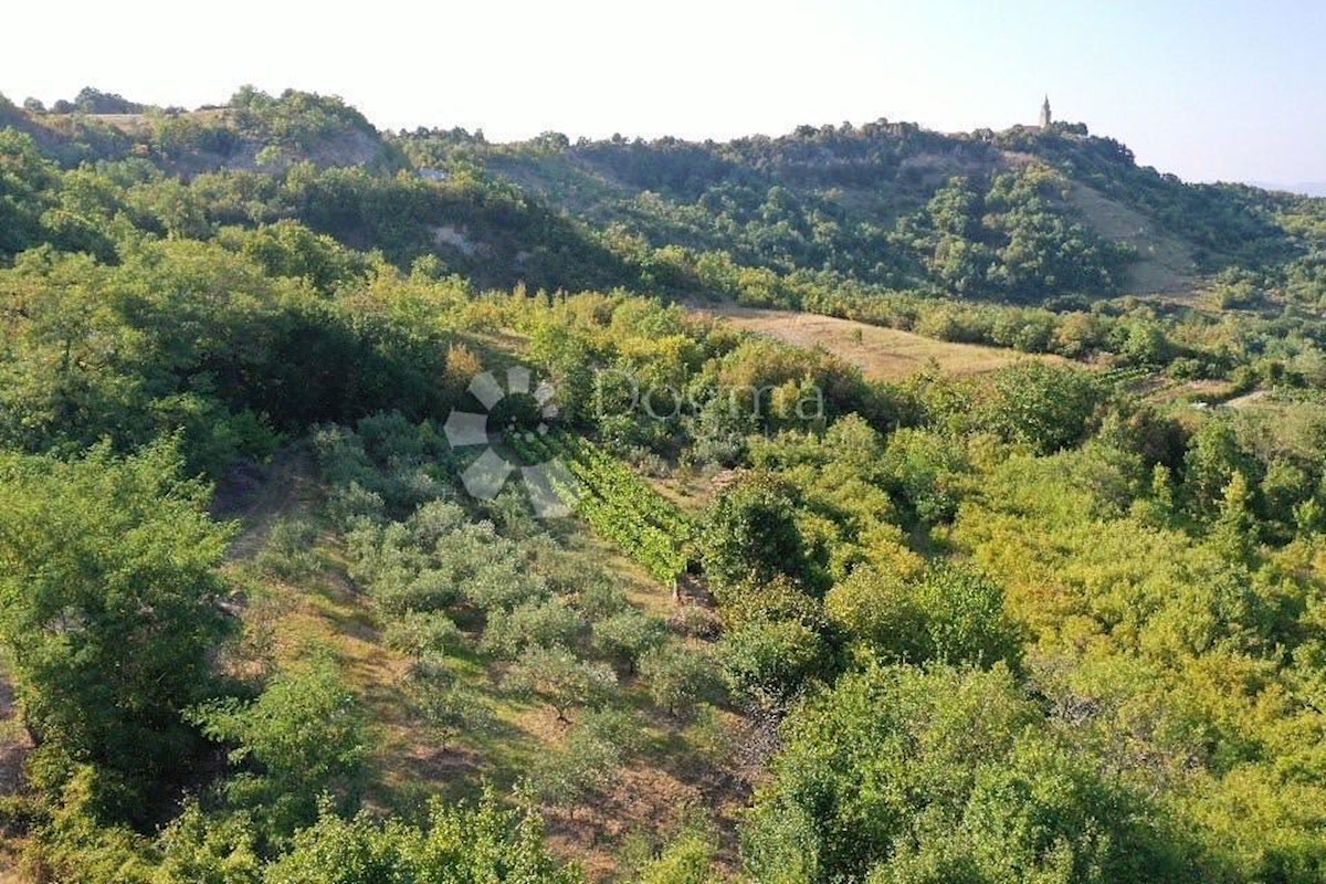 Zemljišče Gračišće, 4.067m2