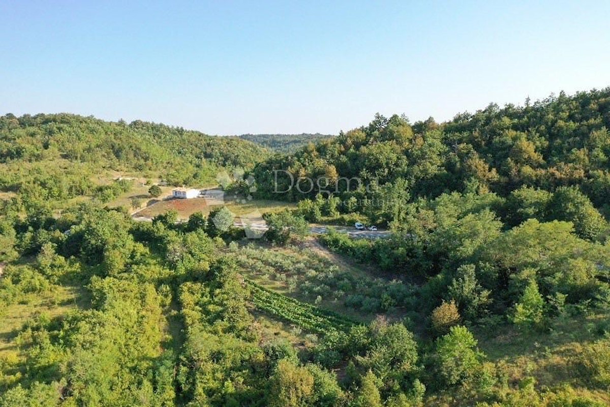 Zemljišče Gračišće, 4.067m2