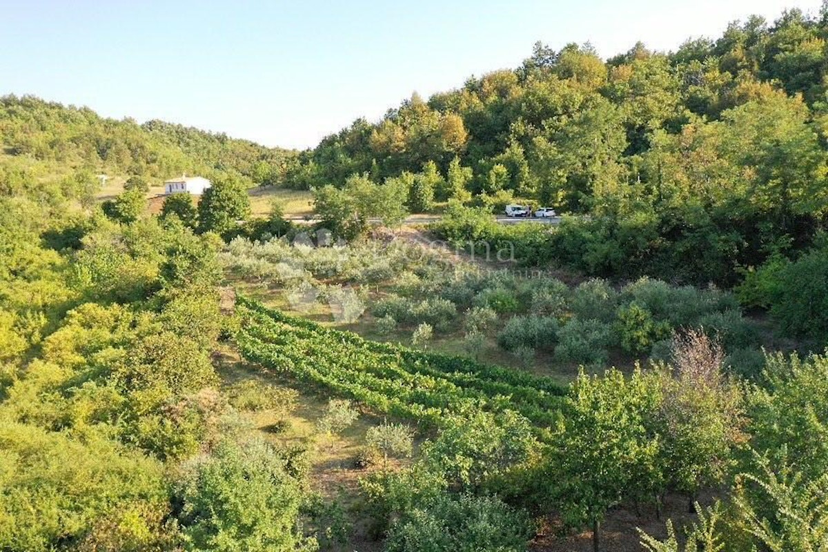 Zemljišče Gračišće, 4.067m2