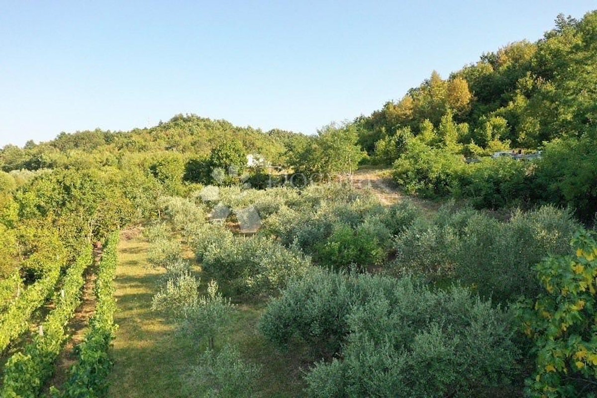 Zemljišče Gračišće, 4.067m2