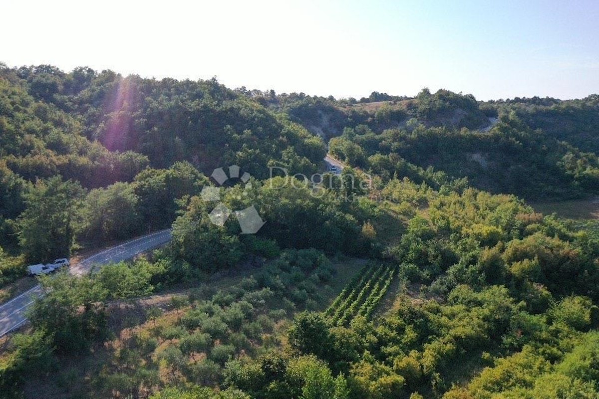 Zemljišče Gračišće, 4.067m2