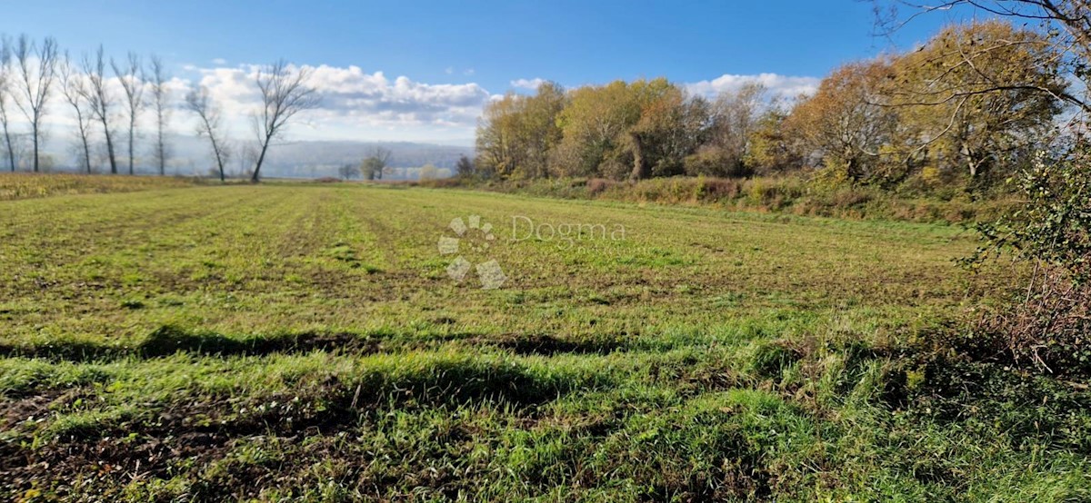 Zemljišče Polje Čepić, Kršan, 1.505m2