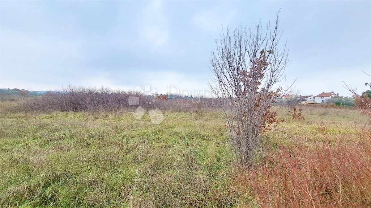 Zemljišče Umag, 3.000m2
