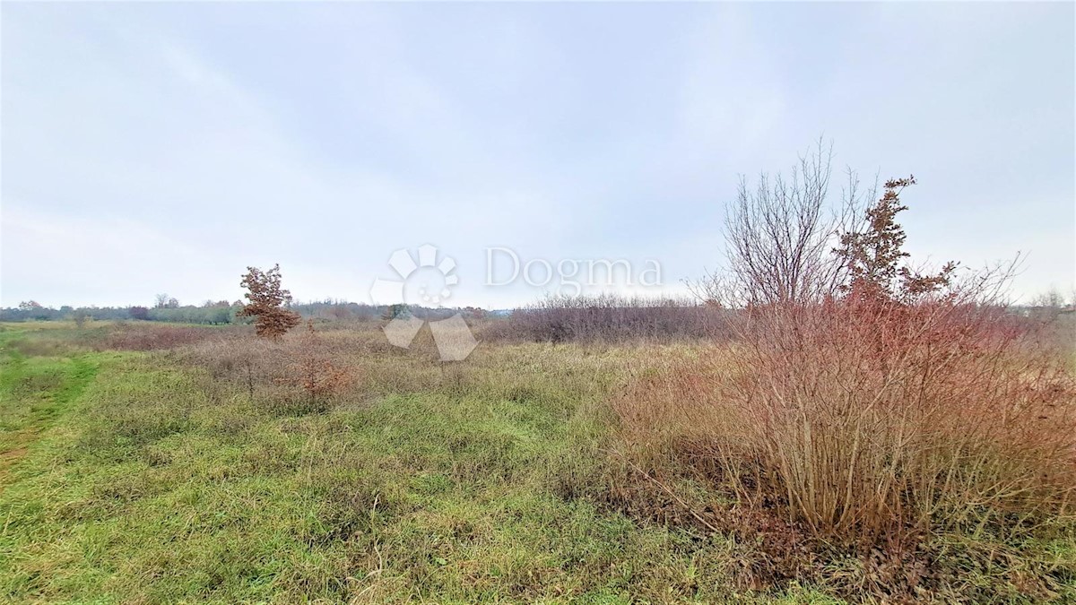 Zemljišče Umag, 3.000m2
