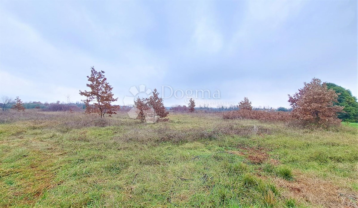 Zemljišče Umag, 3.000m2