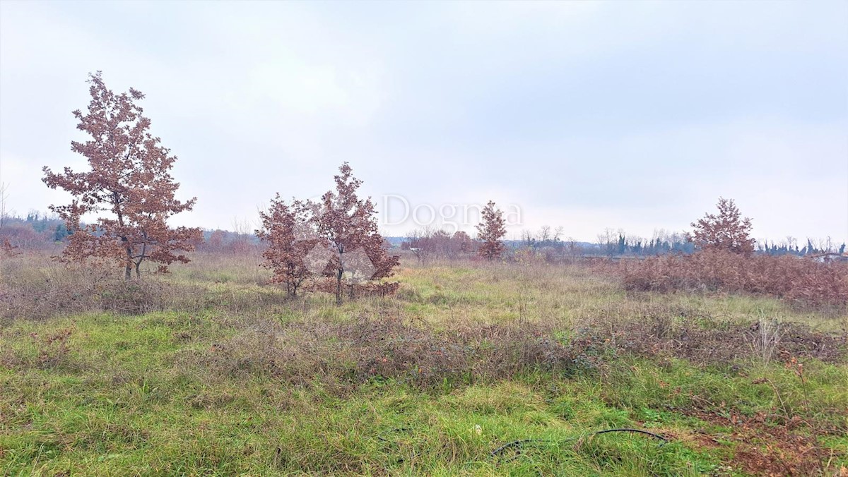 Zemljišče Umag, 3.000m2
