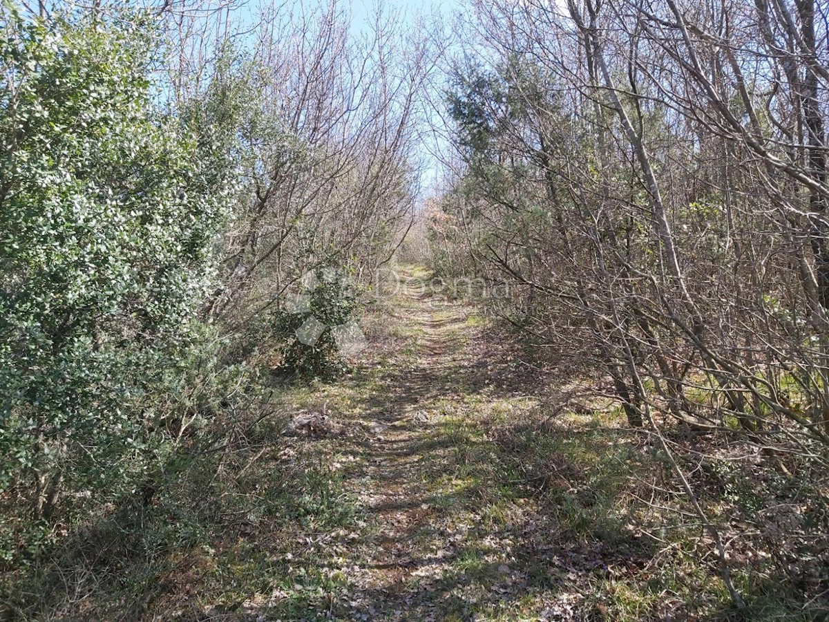 Zemljišče Krnica, Marčana, 19.947m2