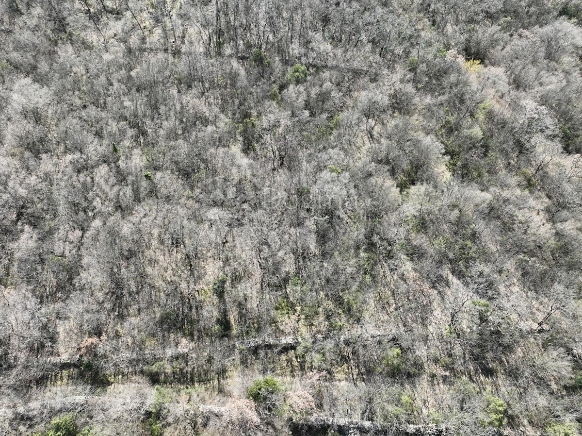 Zemljišče Krnica, Marčana, 19.947m2