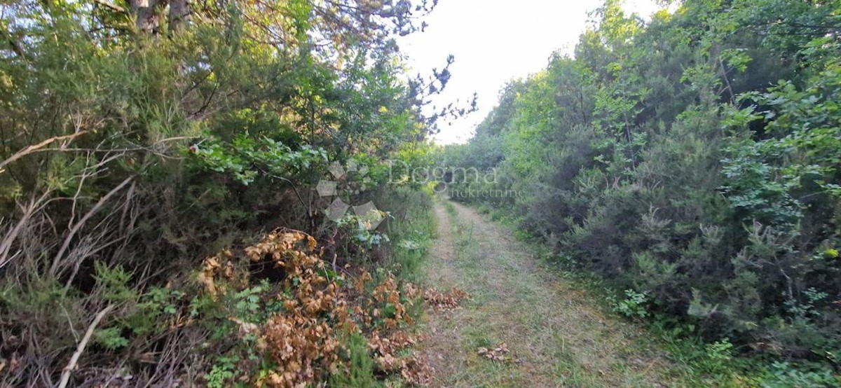 Zemljišče Filipana, Marčana, 16.176m2