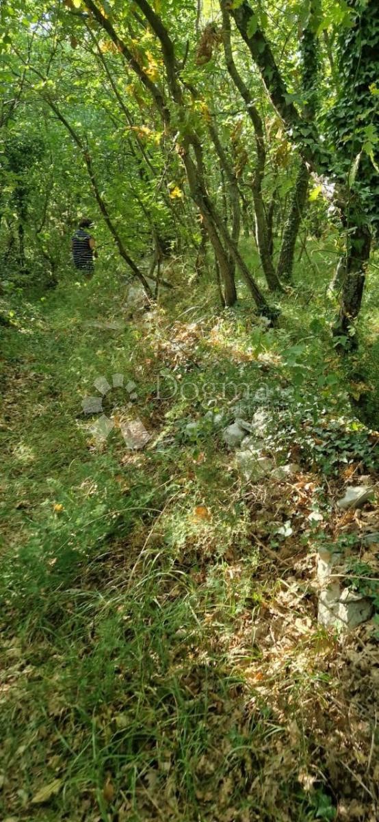 Zemljišče Filipana, Marčana, 16.176m2
