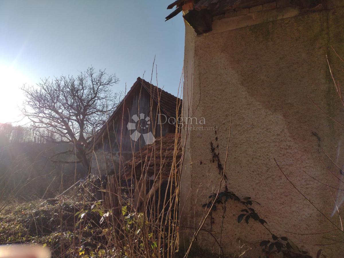 Hiša Vinski Vrh, Netretić, 9000m2