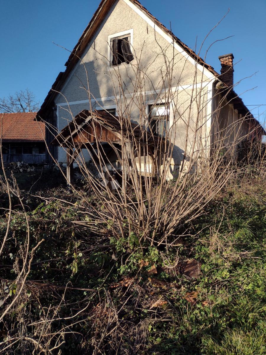 Hiša Vinski Vrh, Netretić, 9000m2