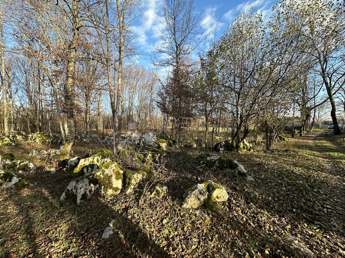 Zemljišče Lipe, Gospić, 10.399m2