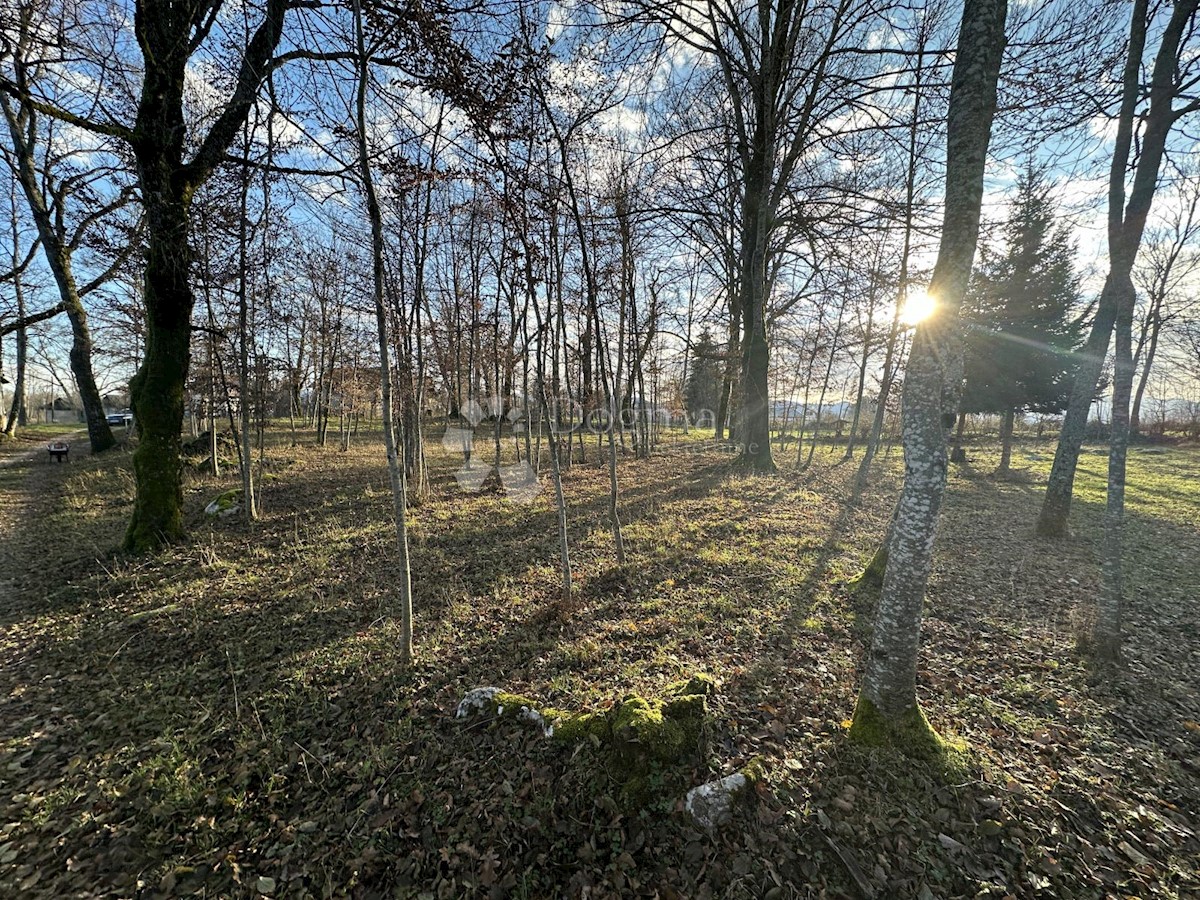 Zemljišče Lipe, Gospić, 10.399m2