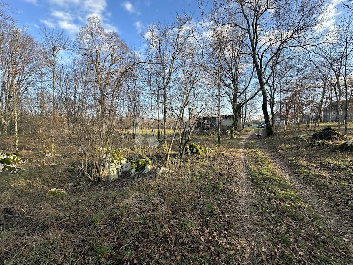 Zemljišče Lipe, Gospić, 10.399m2