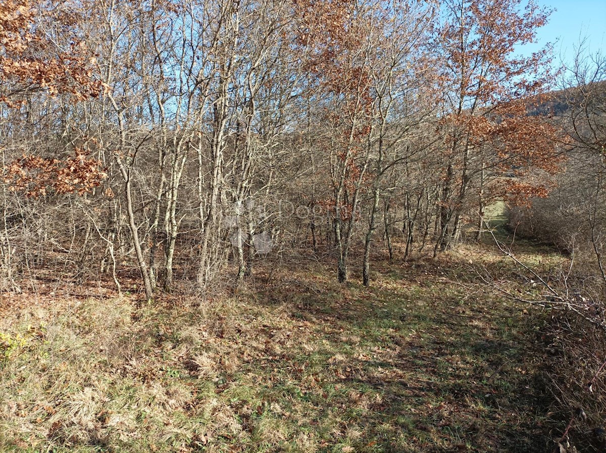 Zemljišče Kanfanar, 3.610m2