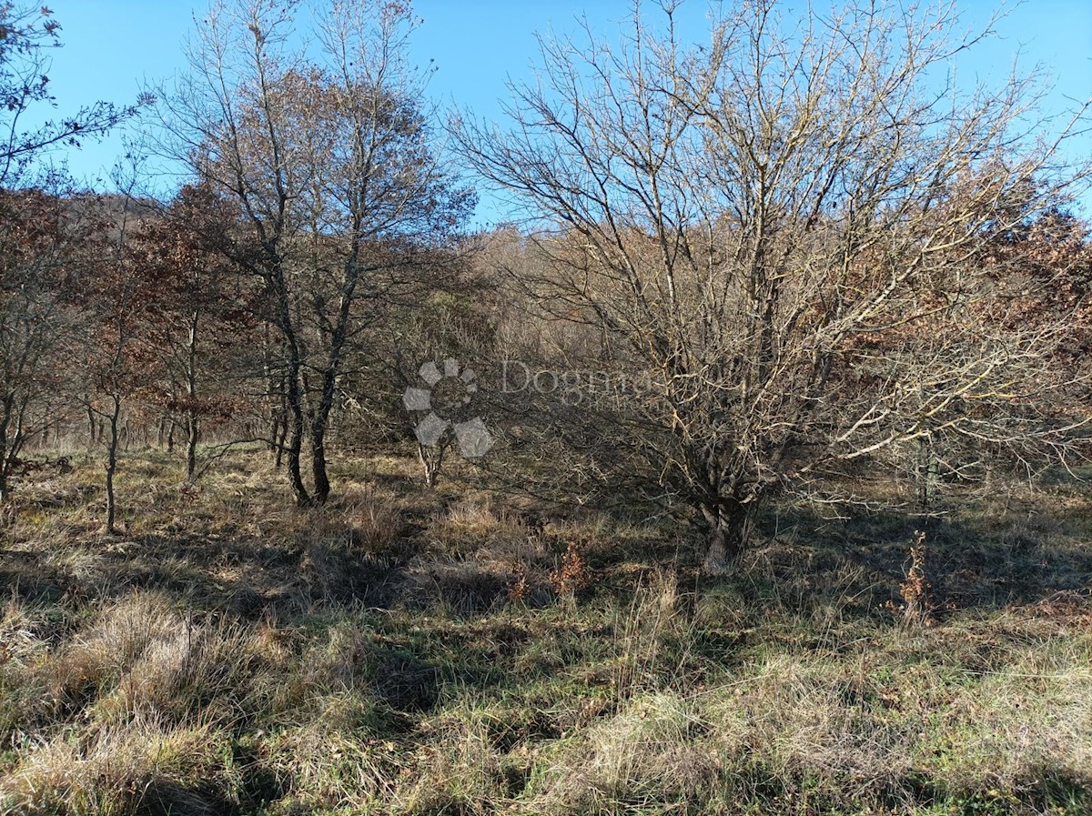Zemljišče Kanfanar, 3.610m2