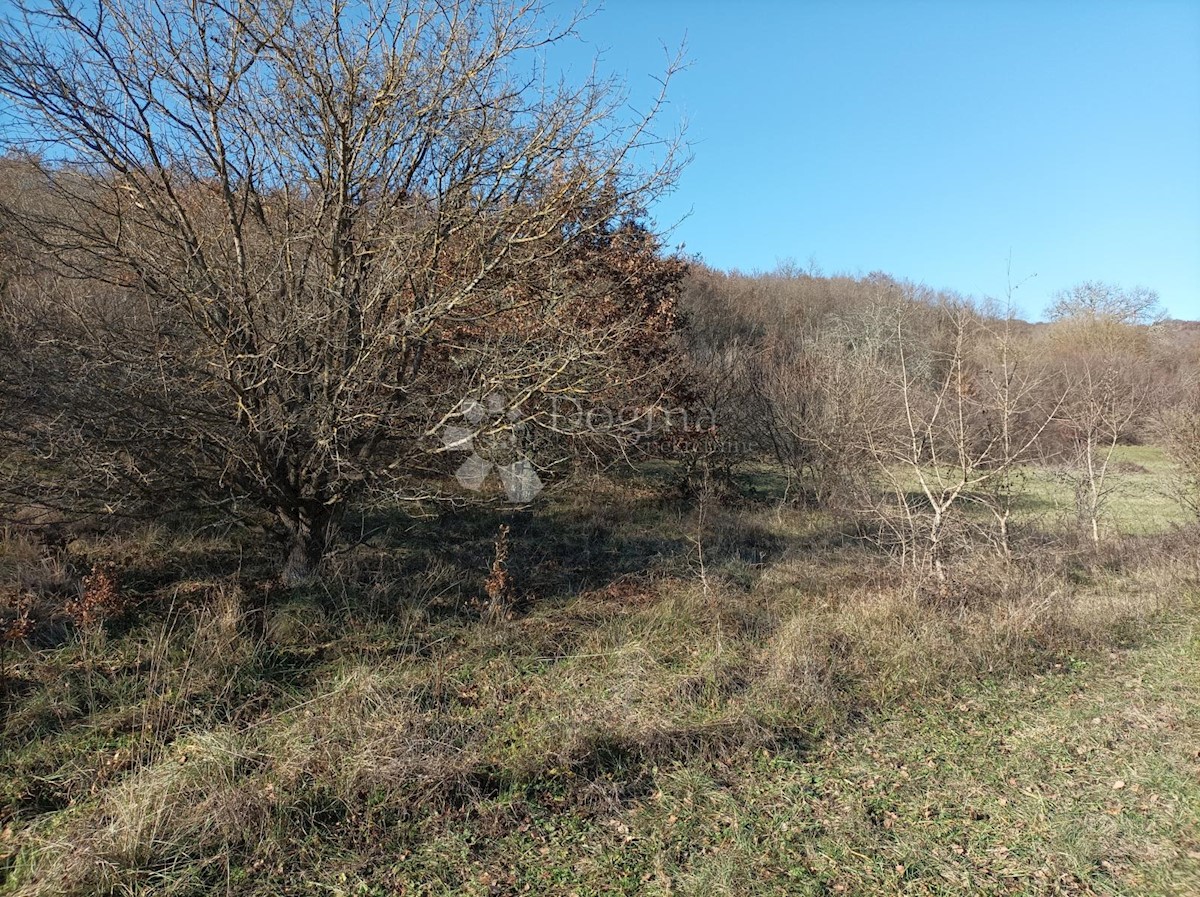Zemljišče Kanfanar, 3.610m2