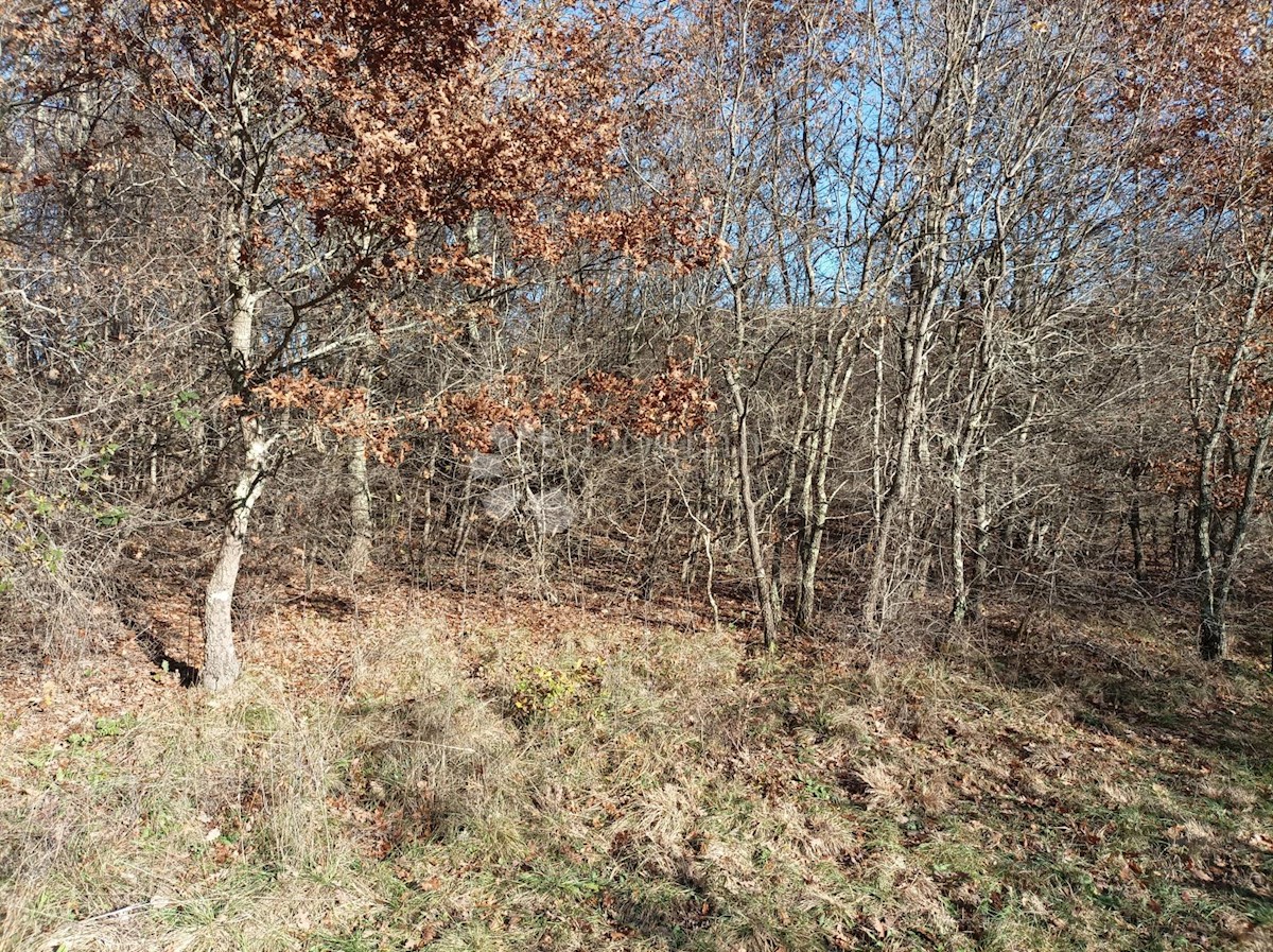 Zemljišče Kanfanar, 3.610m2