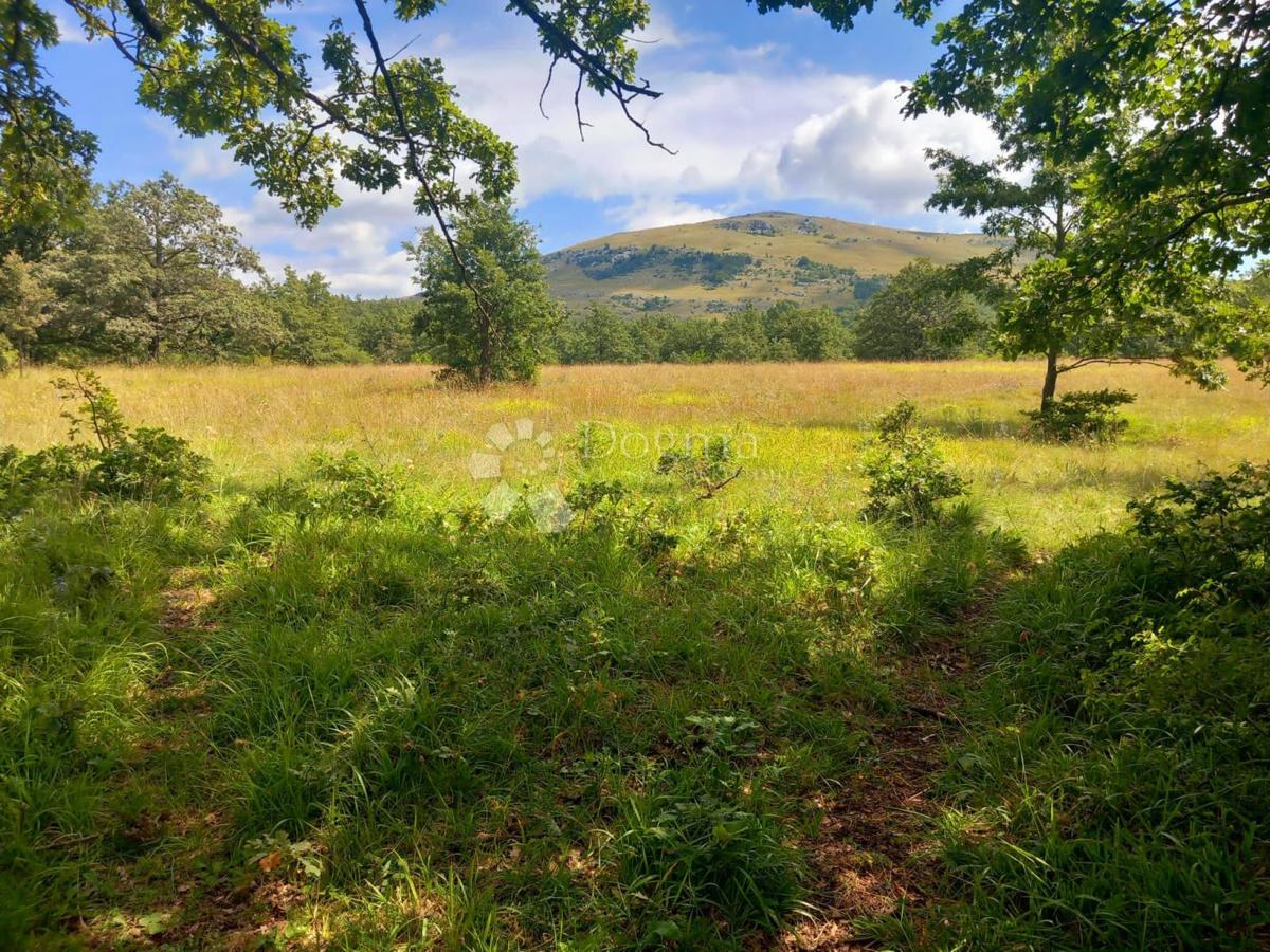 Zemljišče Bruvno, Gračac, 18.101m2